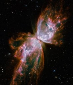 Transformational Cosmic Butterfly