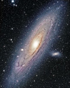Cosmos
